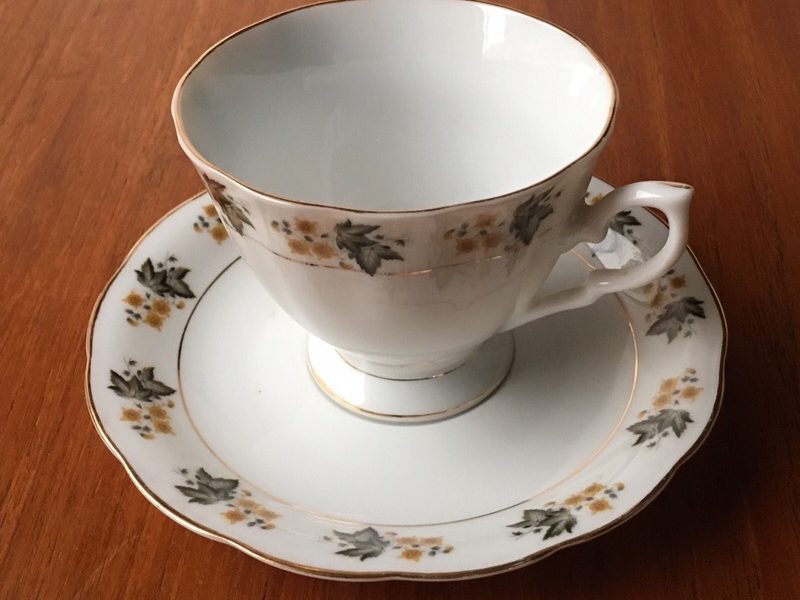 bp-and-co-ivy-and-daffodil-cup-and-saucer